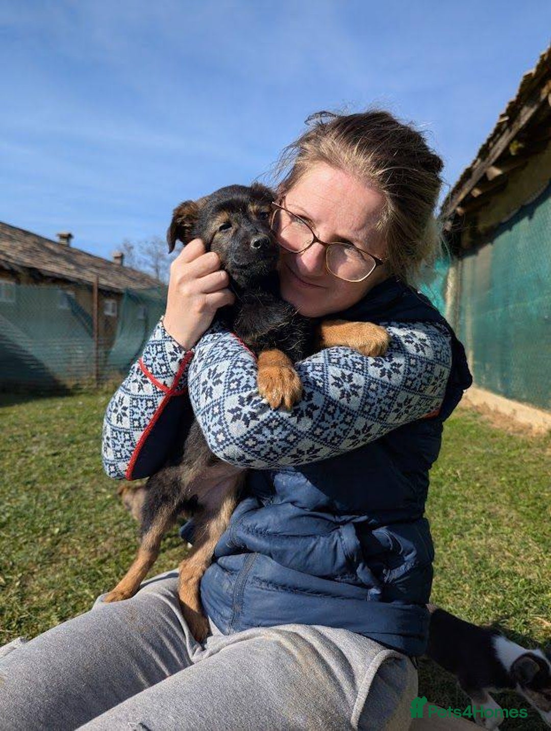 Mixed Breed dogs for adoption: Parsley for adoption - Advert 3