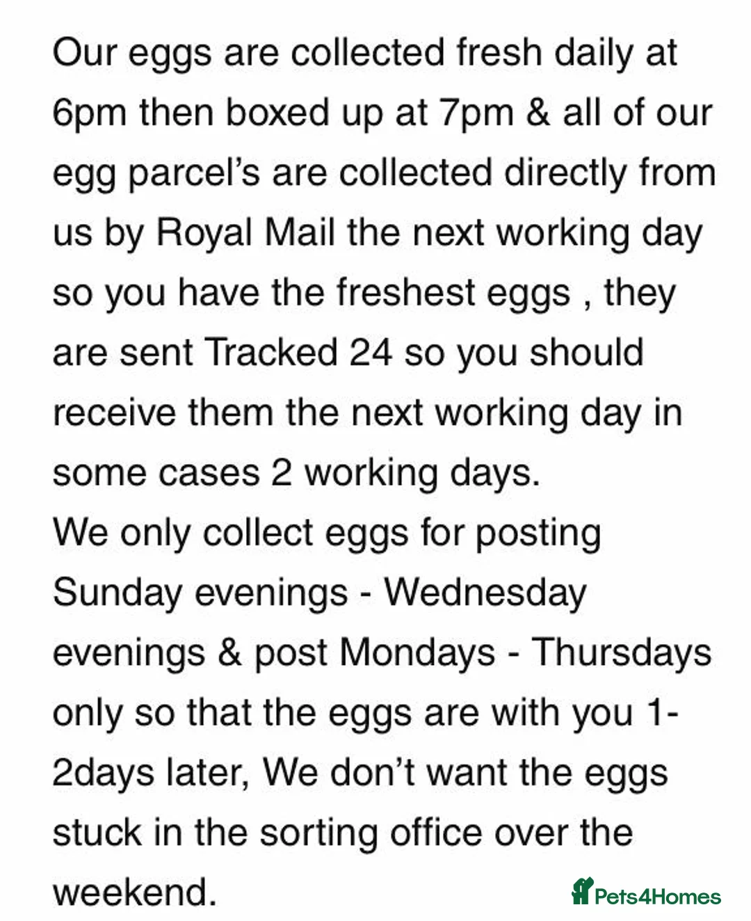 Quail poultry for sale: QUAIL EGGS/CHINESE PAINTED BUTTONS ! - Advert 35