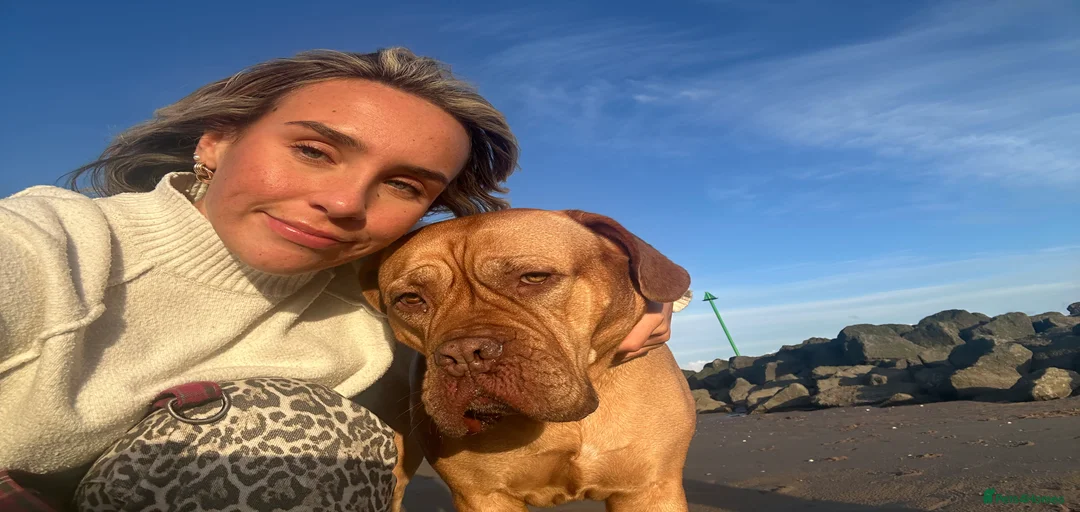 Gallery Image {{count}}