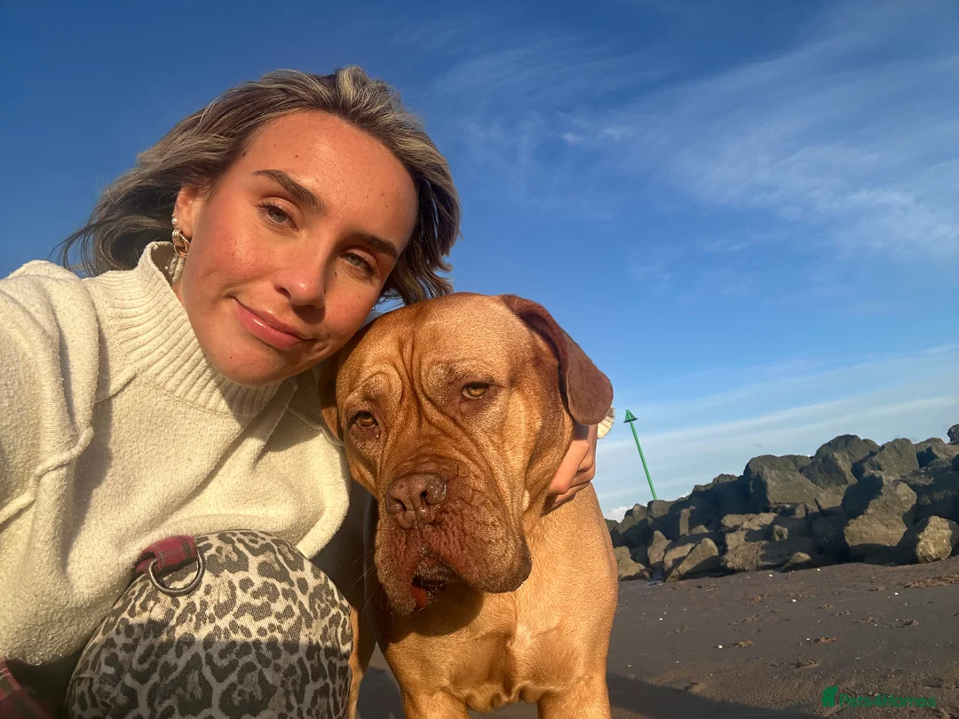 Gallery Image {{count}}