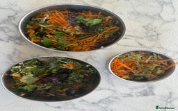 Budgerigars birds for sale: Young budgies happy&healthy in London - Image 31