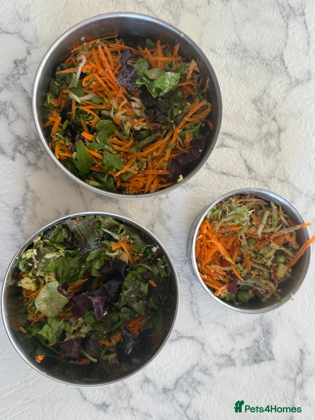 Budgerigars birds for sale: Young budgies happy&healthy in London - Image 31