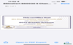 British Shorthair cats for sale: British shorthair  - Image 12