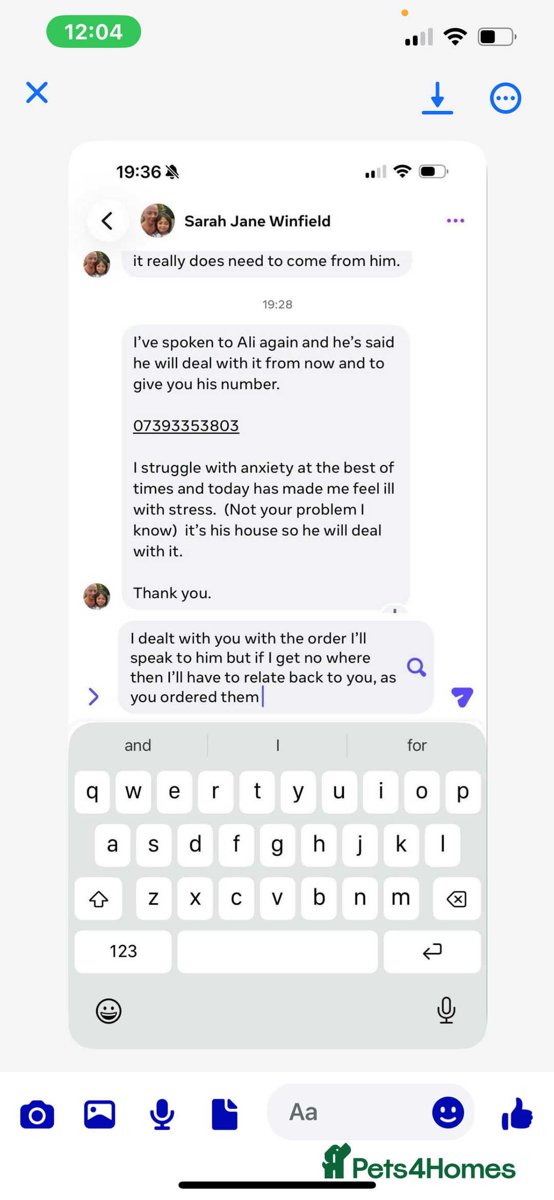 Ragdoll cats for sale: Adorable Ragdoll kittens  - Advert 10