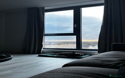 Belgian Shepherd Dog dogs for sale: Belgium malanios puppy for sale  - Image 6