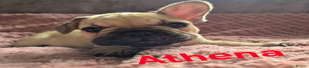 Athena