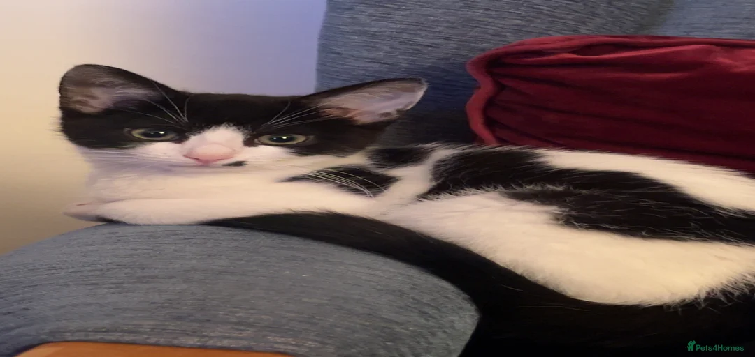 Gallery Image {{count}}