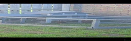 Chickens poultry for sale: 2 chickens and cage with run in Darlington - Advert 4