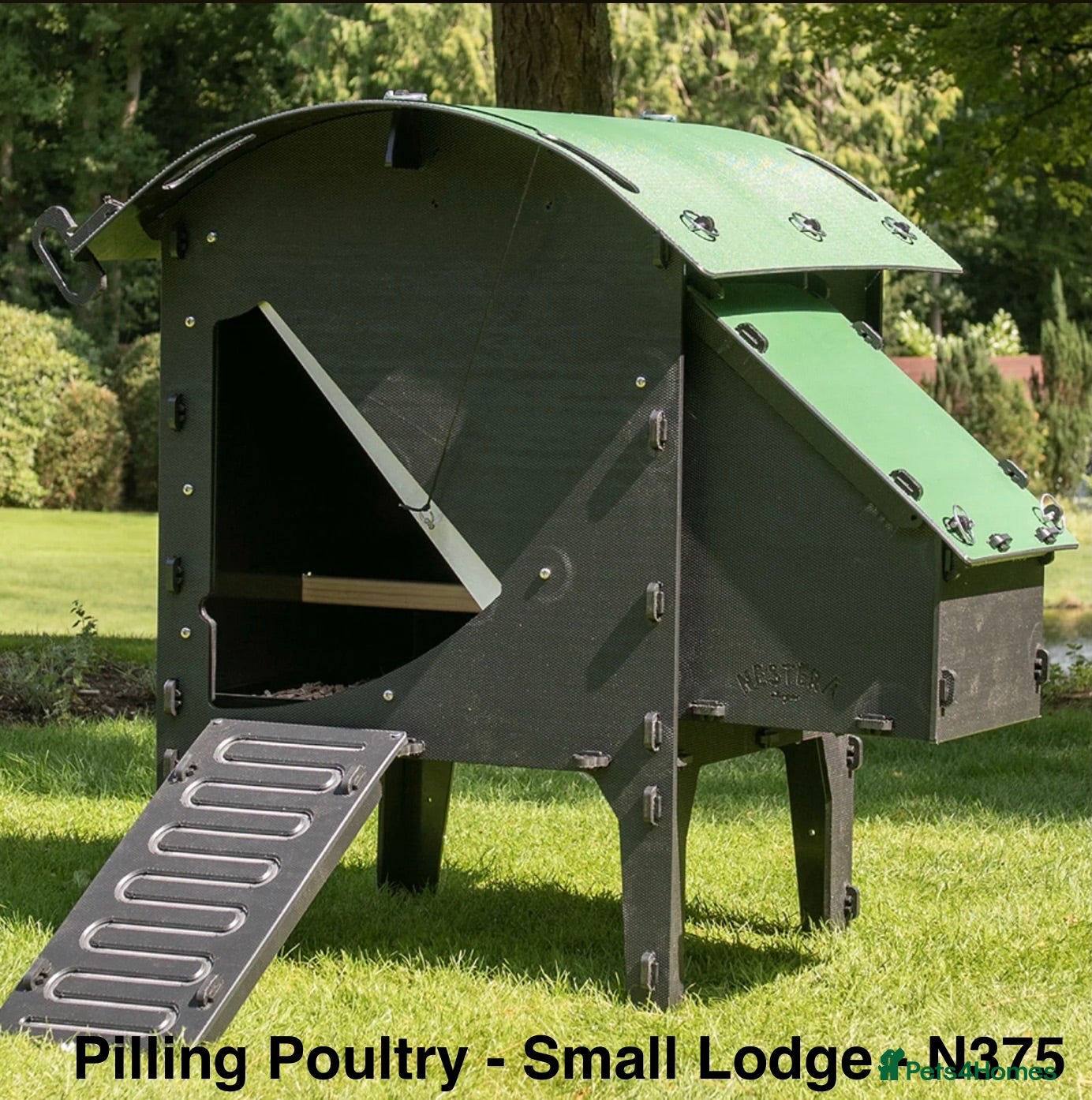Chickens poultry Pilling Poultry - Chicken Lodge - Small - Advert 1