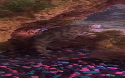Other/Mixed Breed fish for sale: Fish tank and 3 fish for sale  - Image 2