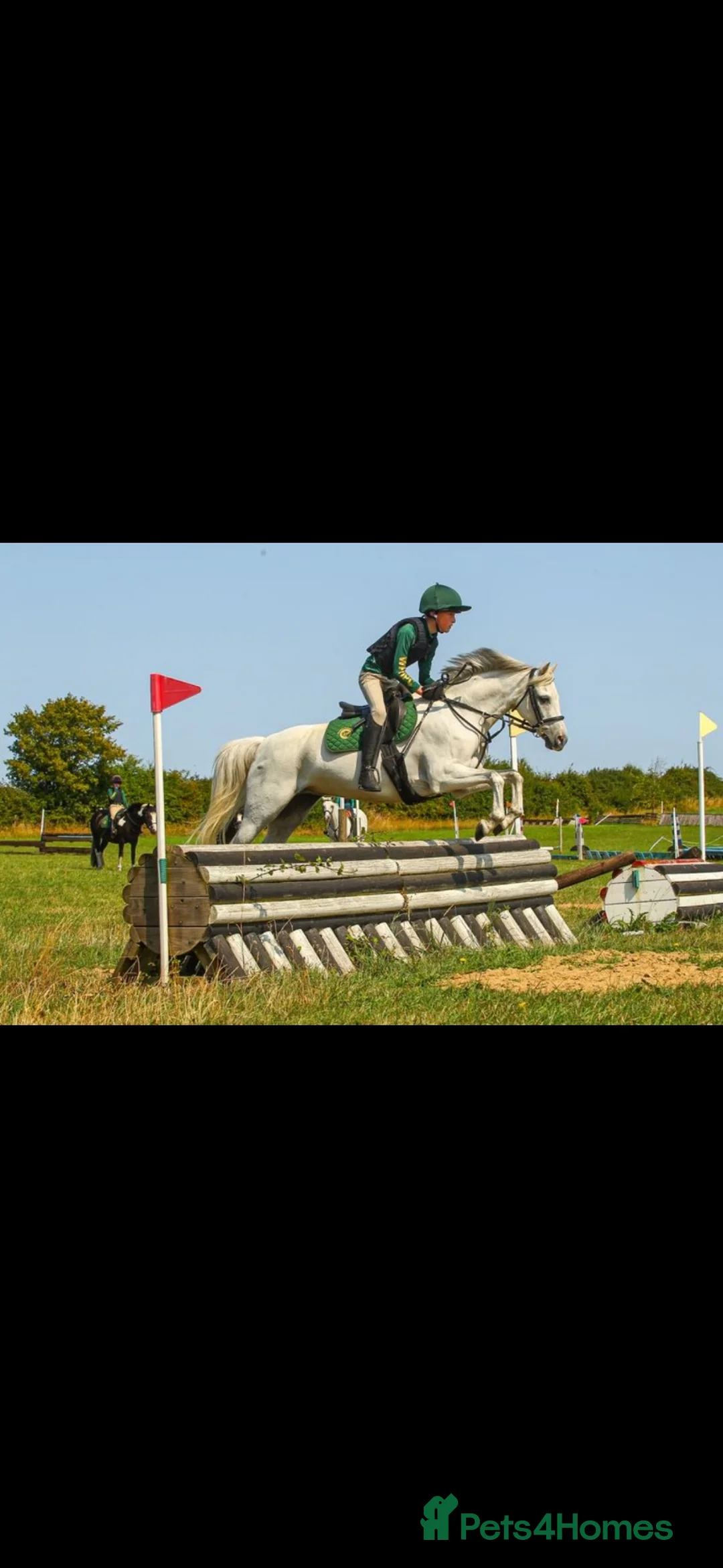 Irish Sports horses for sale: 13.1 Welsh x Irish sports pony  - Advert 1