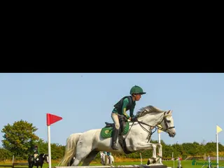 Irish Sports horses 13.1 Welsh x Irish sports pony - Advert 6