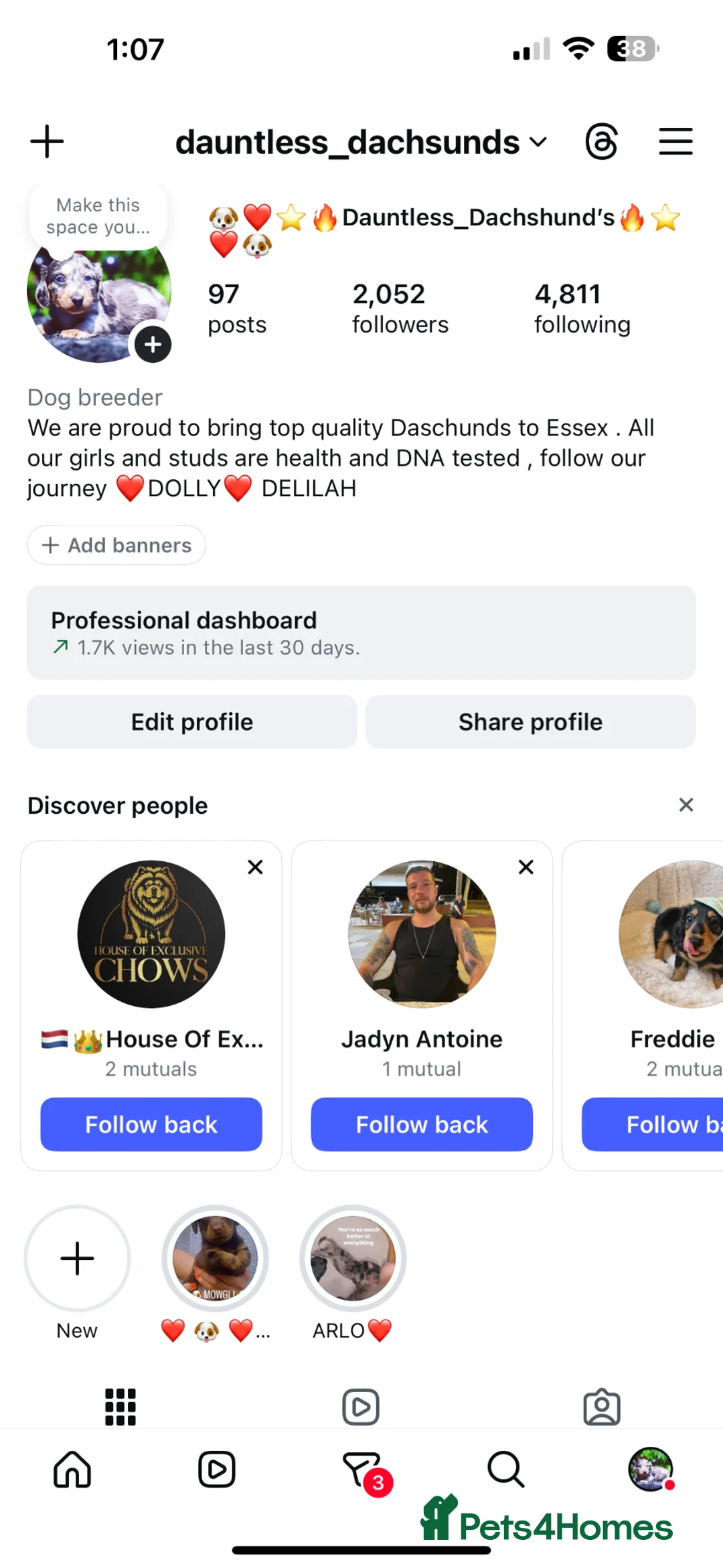 Miniature Dachshund dogs for sale: Stunning miniature Daschunds ❤️🌈💕 - Advert 2