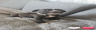 Female 4