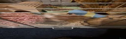 Hamster rodents for sale: 2 x male syrian hamsters approx 6 months old - Advert 4