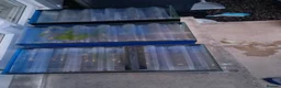 Bettas fish for sale: 3X custom made 31L Fish Tank - Advert 3