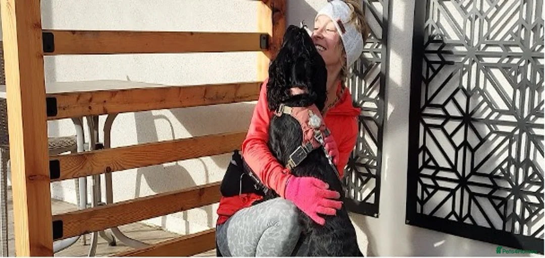 Gallery Image {{count}}