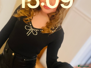 Rottweiler dogs Beautiful Bernie - Advert 2