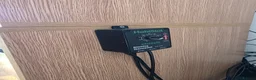 Bearded Dragon reptiles for sale: Male bearded dragon with full setup  in Glasgow - Advert 5