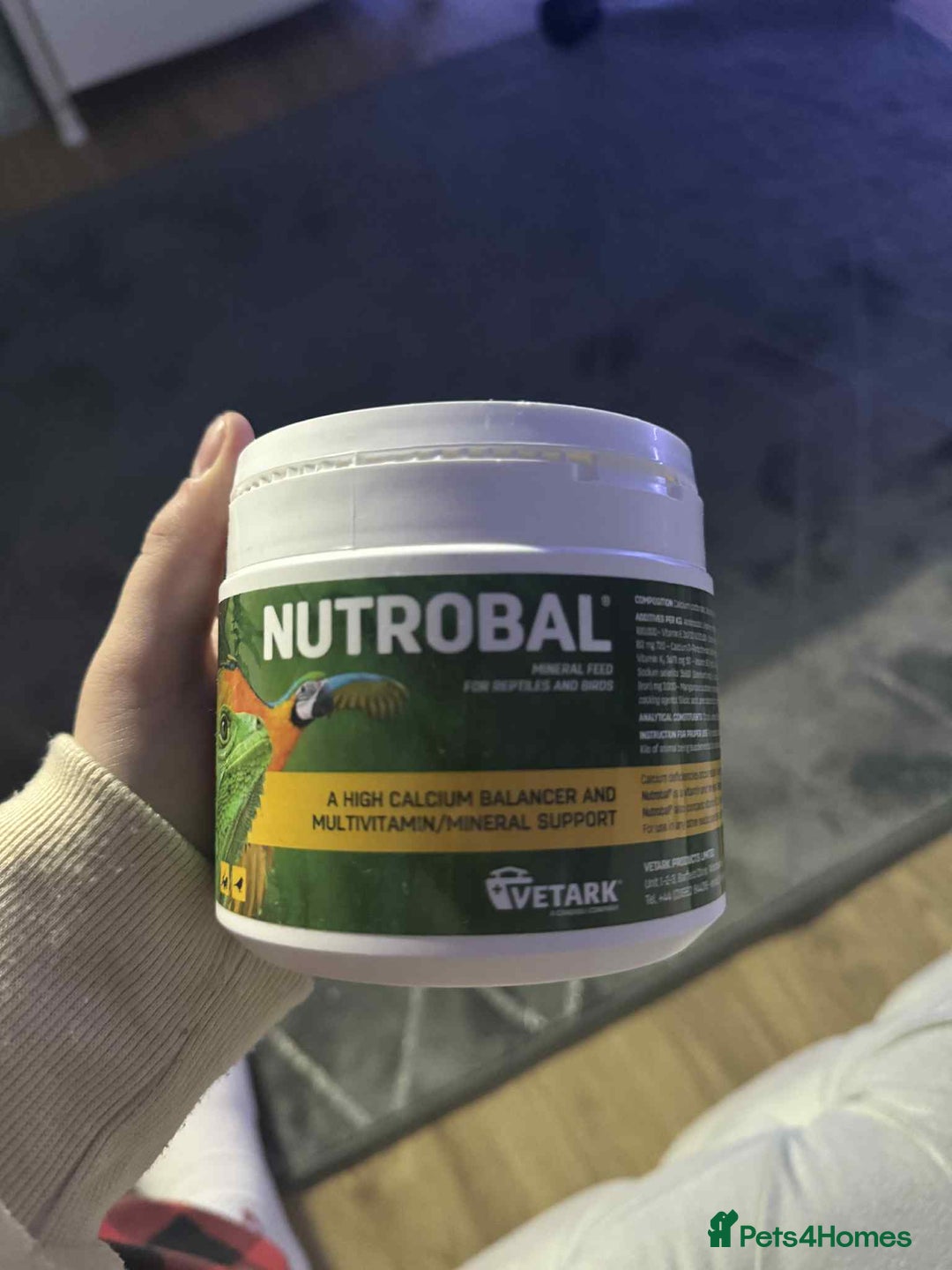 Gecko reptiles for sale: Leapord gecko for sale!! - Advert 7