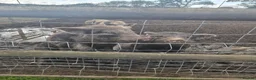 Pig livestock for sale:  good home - Advert 3