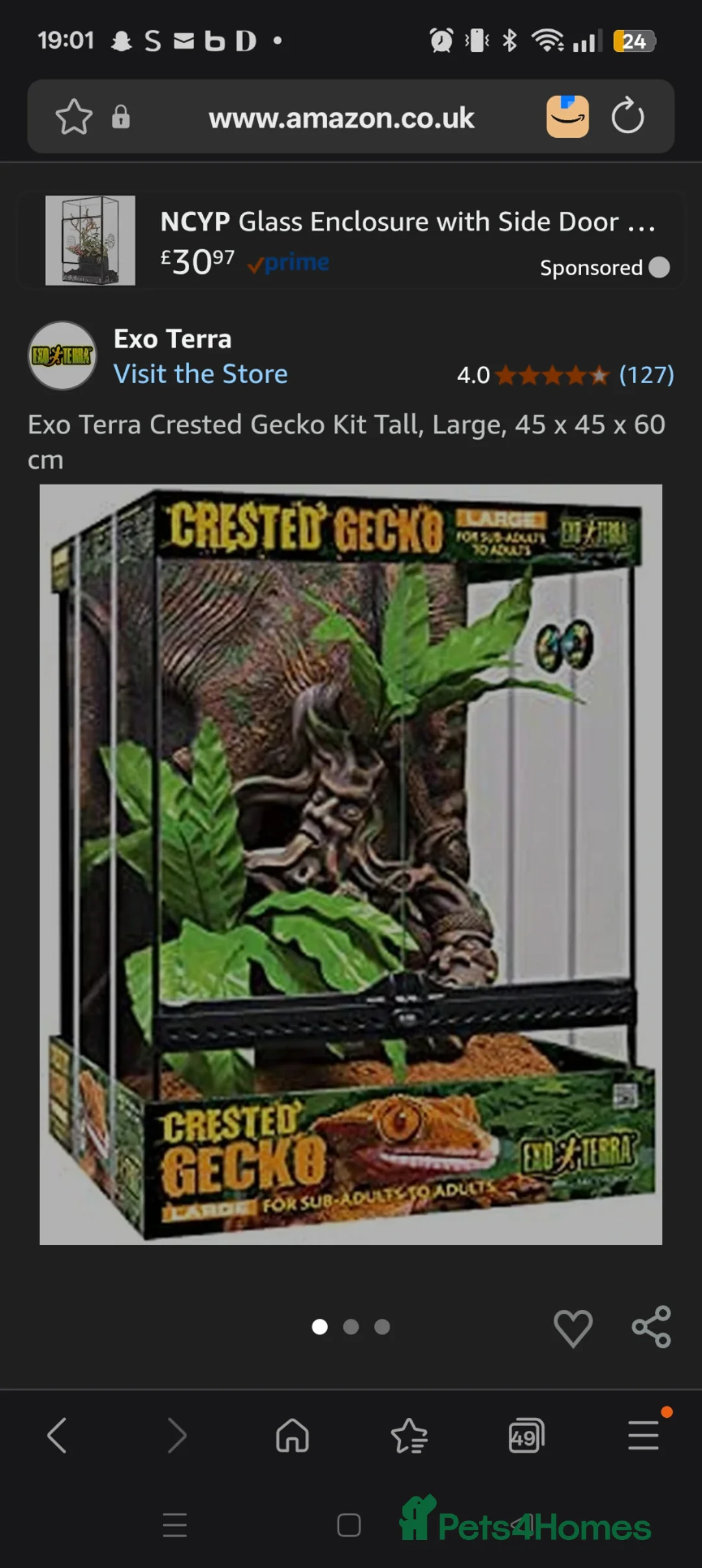 Gecko reptiles for sale: Crested gecko with full bio set up - Advert 2