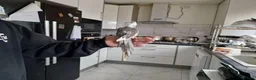 Cockatiels birds for sale: Super Tamed baby Cockatiel for sale  - Advert 7