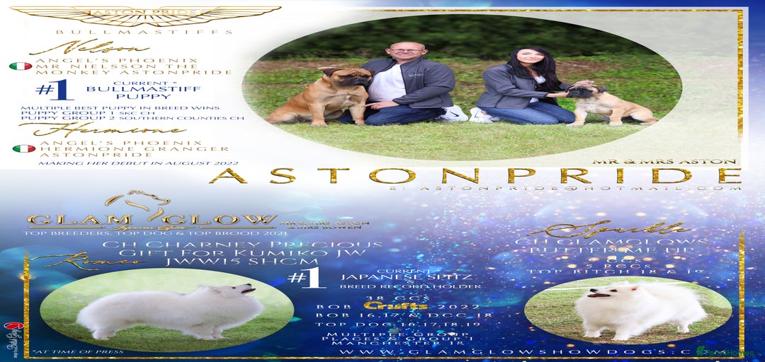 Gallery Image {{count}}