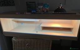 Bearded Dragon reptiles for sale: Bearded Dragon Vivarium Setup Kit in Downham Market - Image 1