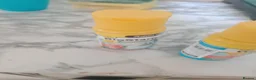 Platies fish for sale: Plattie fish in Birmingham - Advert 6