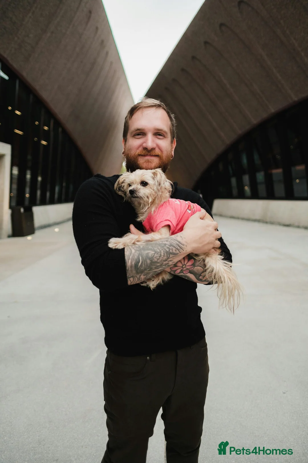 Gallery Image {{count}}