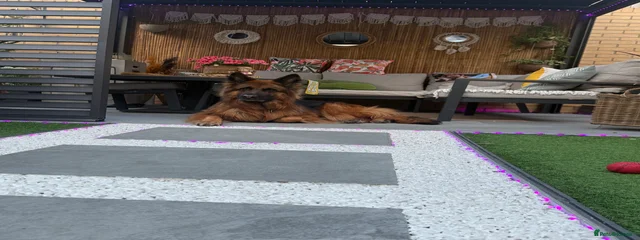 Naro