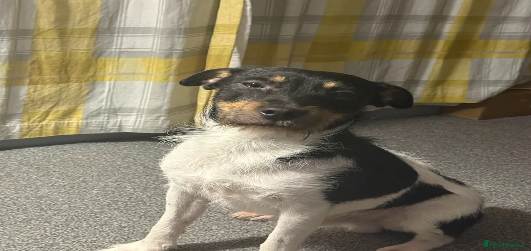 Gallery Image {{count}}