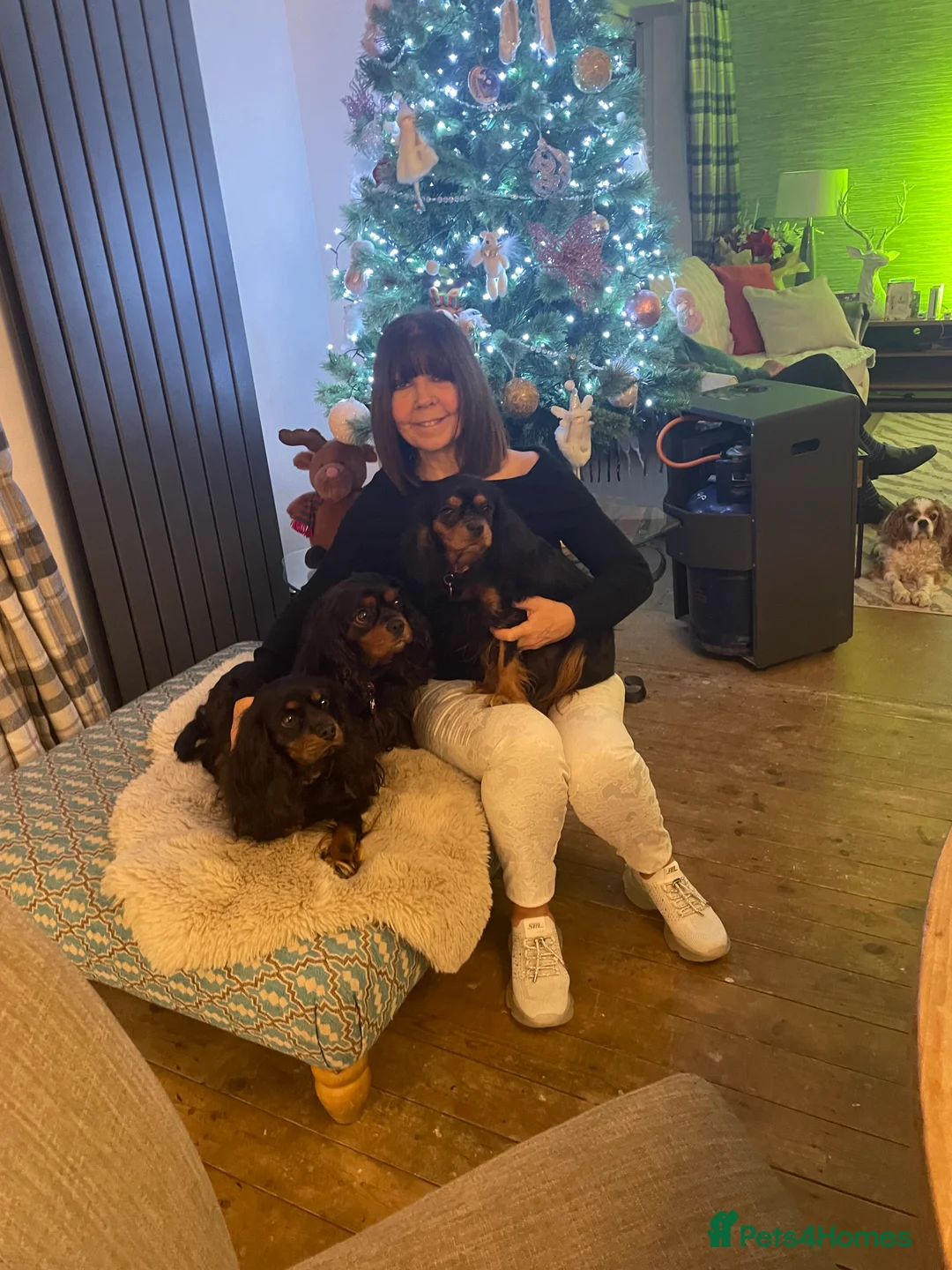 Gallery Image {{count}}