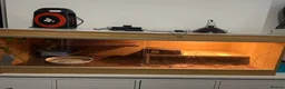 Python Snake reptiles for sale: Pet snake in London - Advert 2