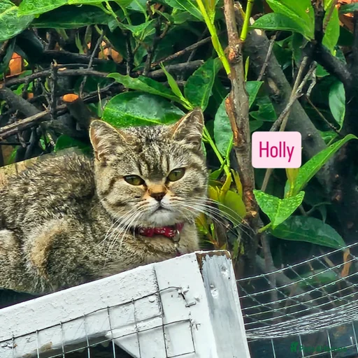 Gallery Image {{count}}