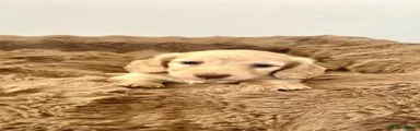 Boy 1
