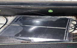 Leopard Gecko reptiles for sale: leopard gecko - Image 8