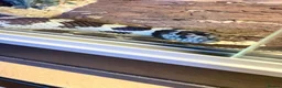 King Snake reptiles for sale: California King Snake + Enclosure set up in Northallerton - Advert 3