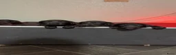 Labrador Retriever dogs for sale: Lovely litter of Labrador puppies - Advert 3