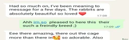 Angora rabbits for sale:  Super fluffy baby teddywidders  - Advert 23