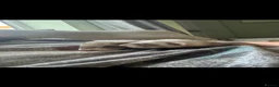 Ferret rodents for sale: Lovely male ferrets - Advert 2