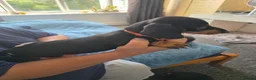 Dachshund dogs for sale: Stunning Standard Smooth hair Dachshund Puppies. - Advert 15
