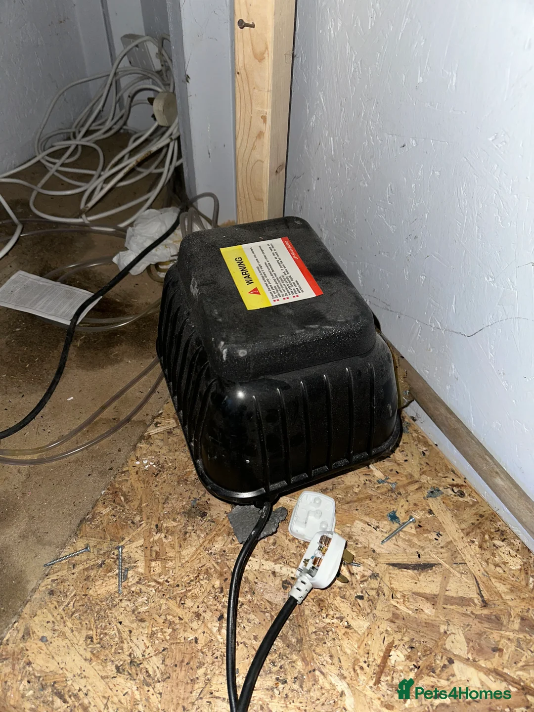 Koi Carp fish for sale: selling complete set up - Advert 4