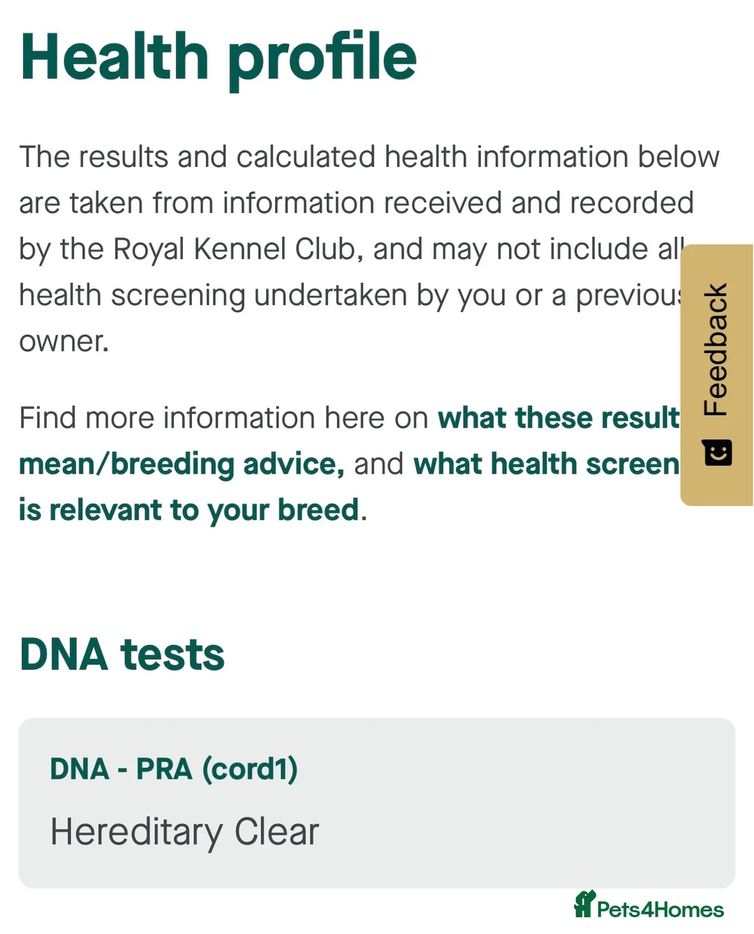 Miniature Dachshund dogs for stud:  miniature dachshund for stud  in Salisbury - Advert 5