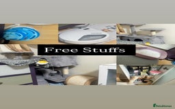 Siamese cats for sale: Everything Included – Just Add Love ❤️” - Image 3