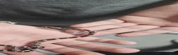 Corn Snake reptiles for sale: Baby corn snakes  in Chesterfield - Advert 3