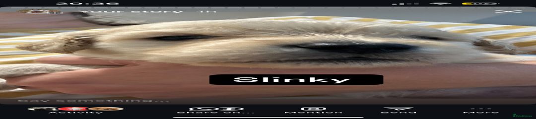 Slinky