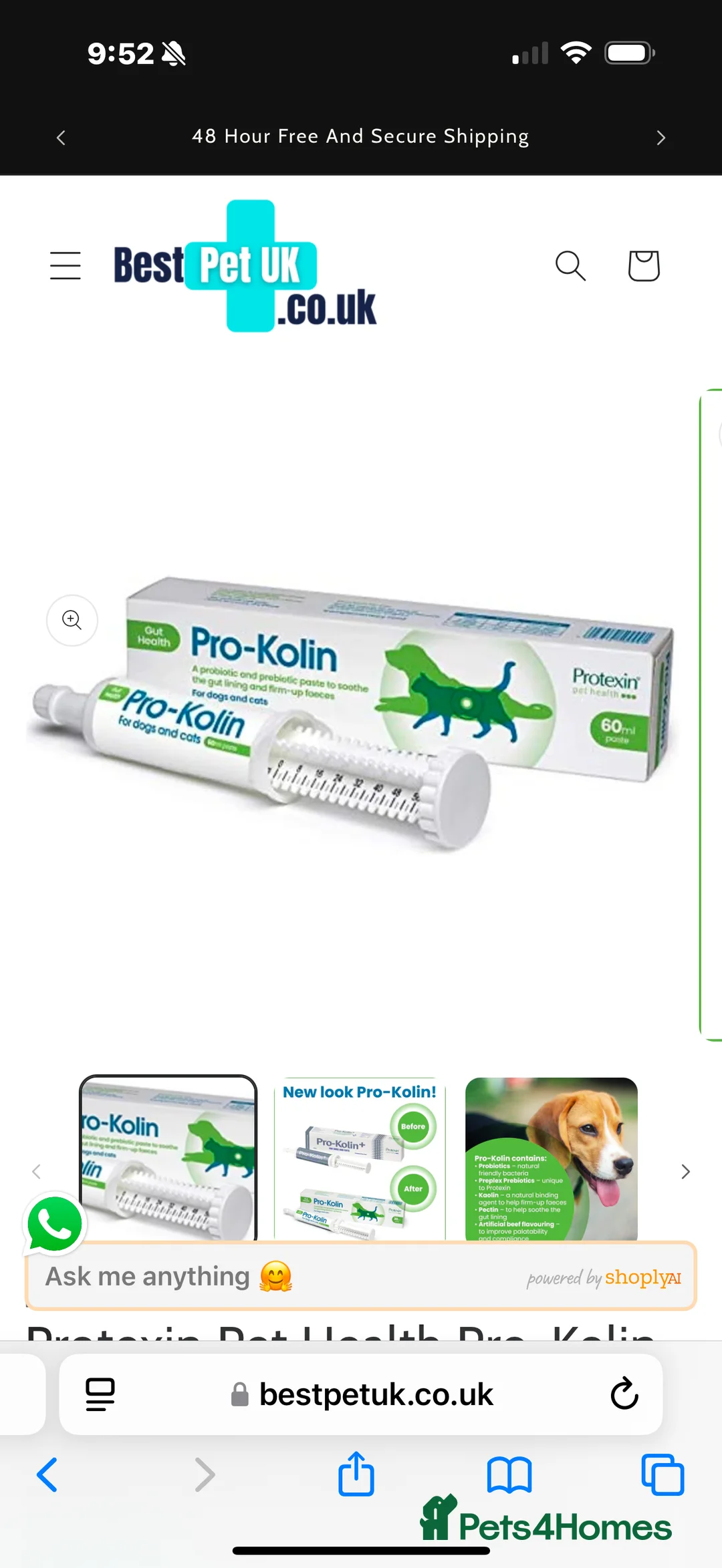 Ragdoll cats for sale: Lovely Ragdoll looking for lovely family - Advert 22