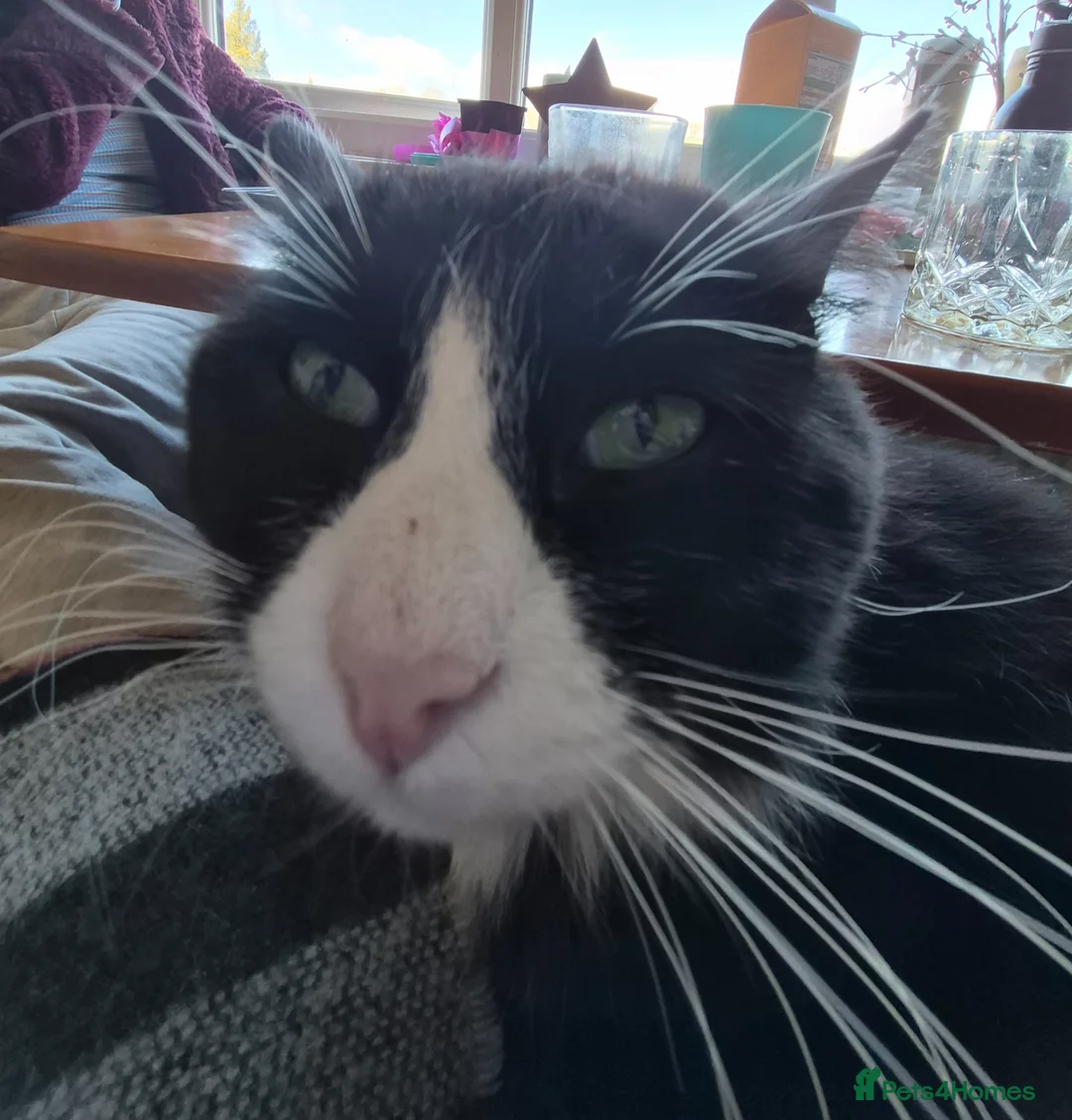 Gallery Image {{count}}